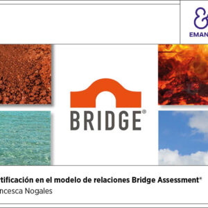 Certificación modelo de relaciones Bridge