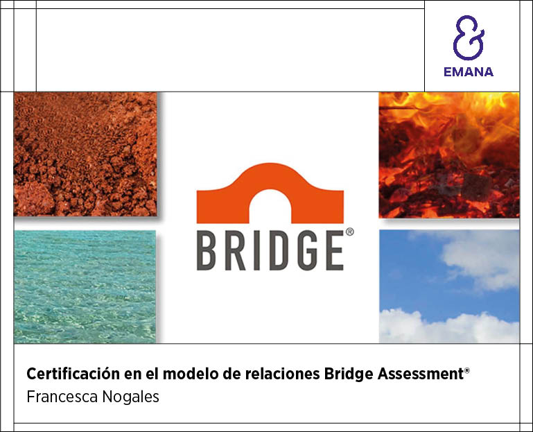 Certificación modelo de relaciones Bridge